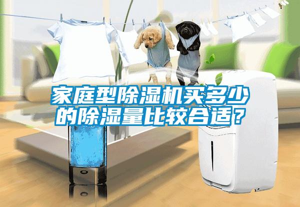 家庭型除湿机买多(duō)少的除湿量比较合适？